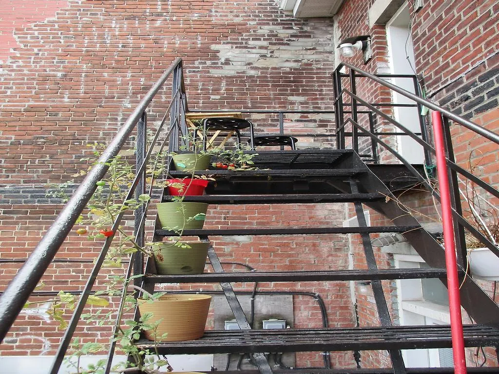 Saint Laurent Guesthouse Montreal 0*,  Kanada